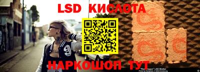 гидропоника Будённовск