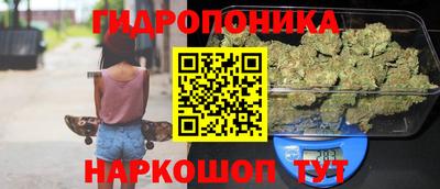 гидропоника Будённовск