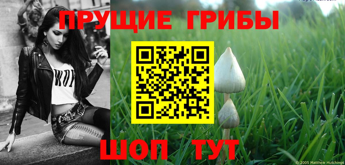 Псилоцибиновые грибы мицелий  Вход с VPN  Ахтубинск 
